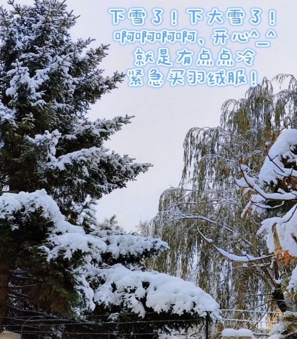 k1体育欧冠直播